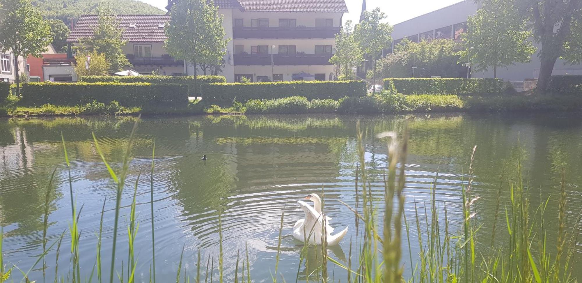 Hotel Schiff Nagold Exteriör bild