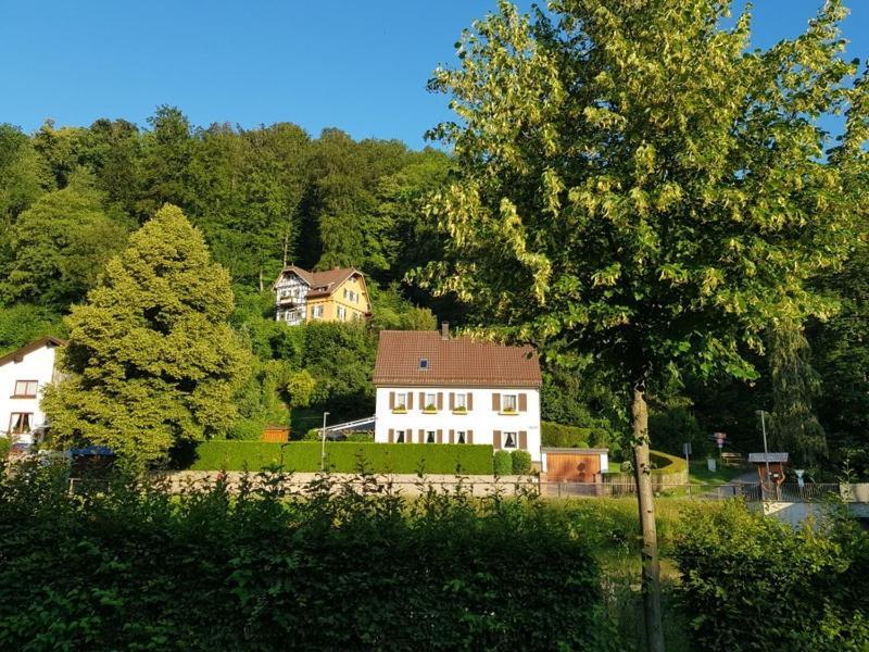 Hotel Schiff Nagold Exteriör bild